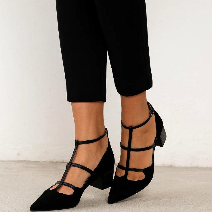 Pointed Toe Flats Strappy Ankle Strap Low Block Heel